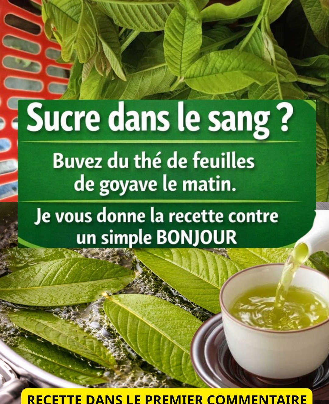 Le Thé de Feuilles de Goyave : Un Allié Naturel pour la Maîtrise de la Glycémie ?