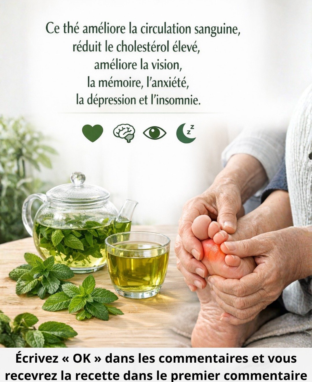 Le Basilic : Votre Alliée Naturelle pour la Circulation, le Cholestérol, la Vue, la Mémoire et un Sommeil Réparateur