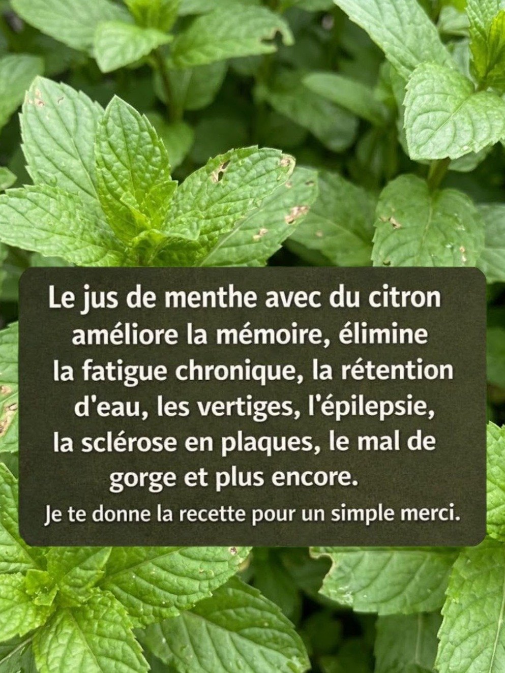 Le SEUL Duo Naturel pour Purifier, Rajeunir, et Booster Votre Énergie en 7 Jours (Ne le Manquez PAS!)