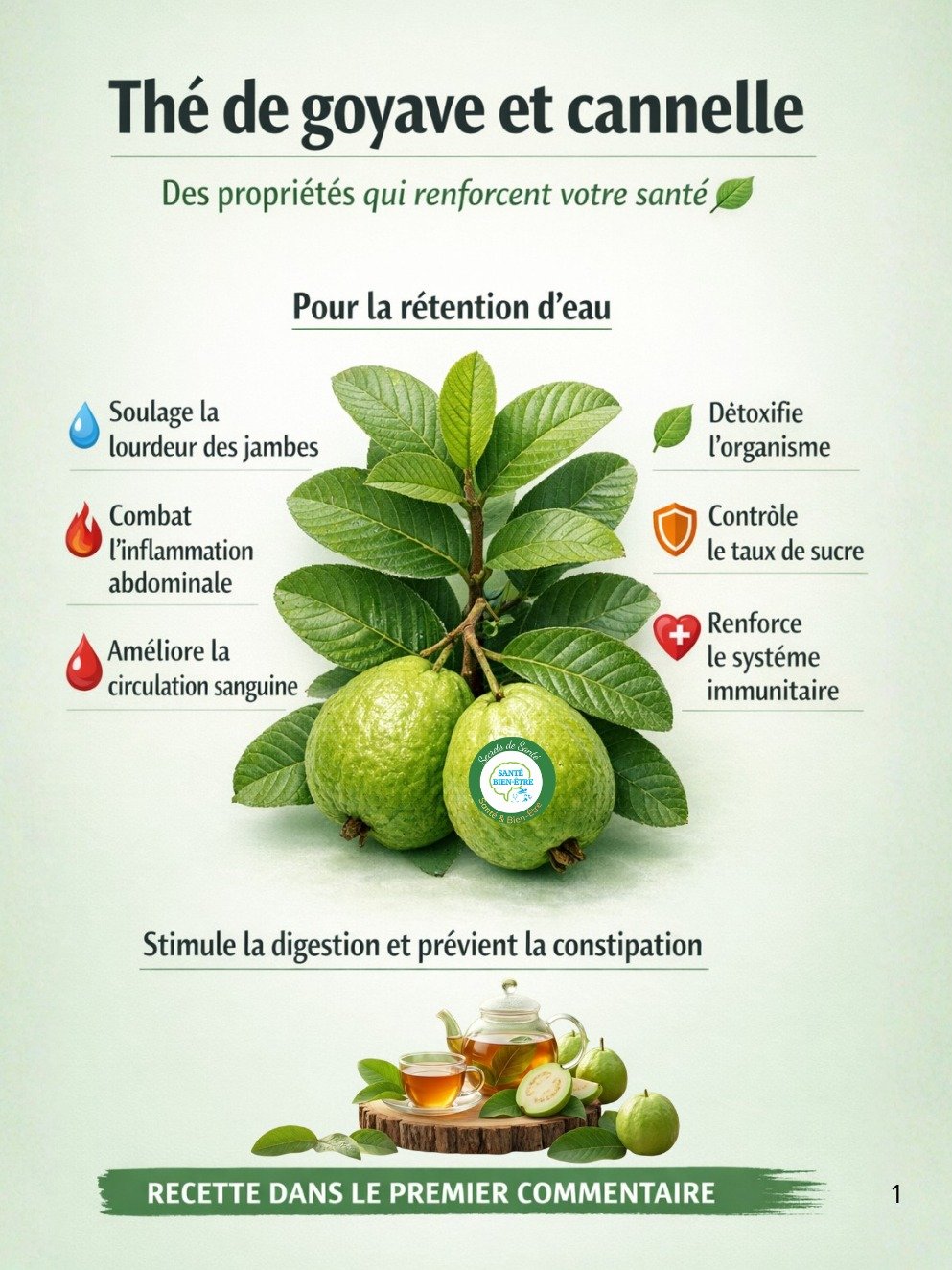 Le Secret Oublié : La Boisson Naturelle Révolutionnaire qui Transforme Votre Santé en 7 Jours (Ne Manquez Pas Ça !)