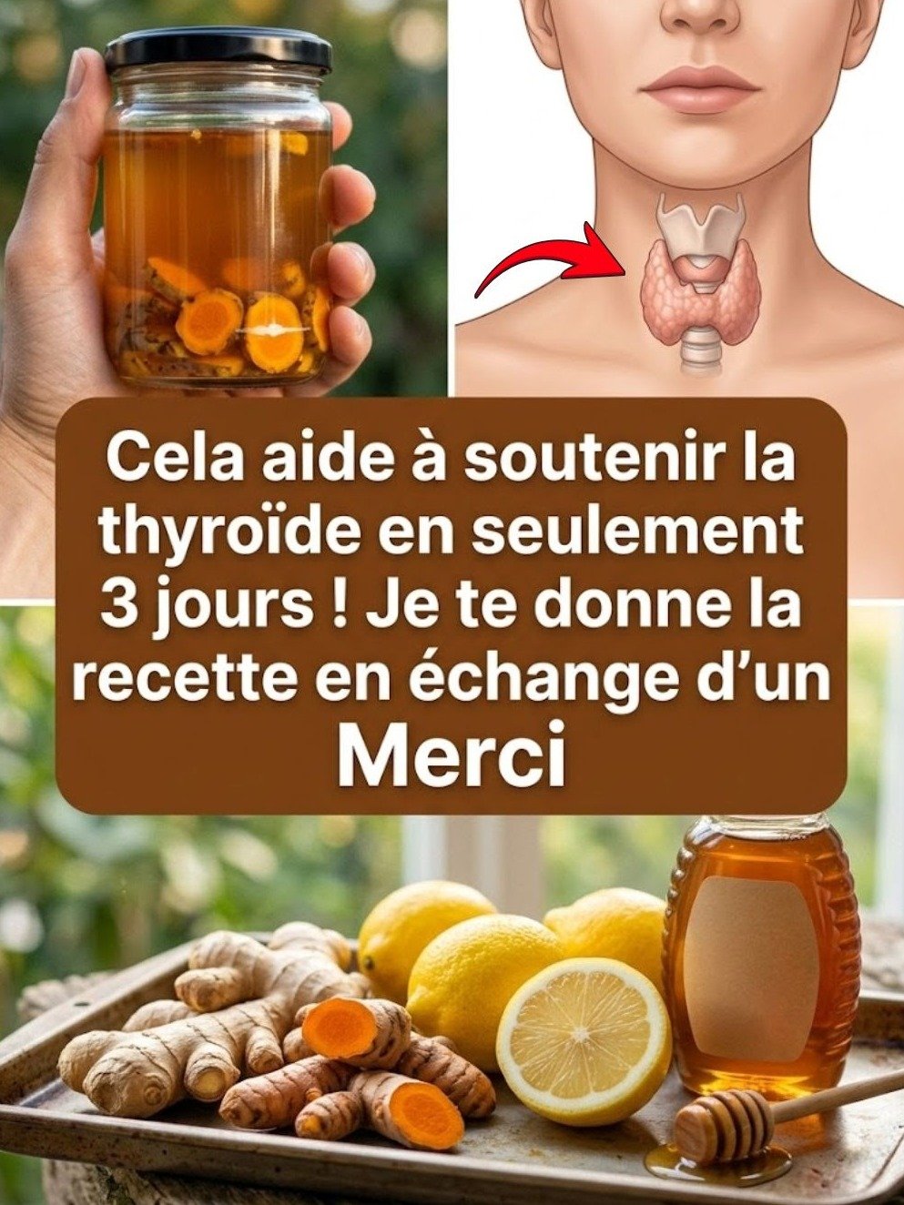 Le Secret Millénaire Révélé : Ce Duo Simple Ail-Miel Peut Écraser Votre Hypertension Naturellement !