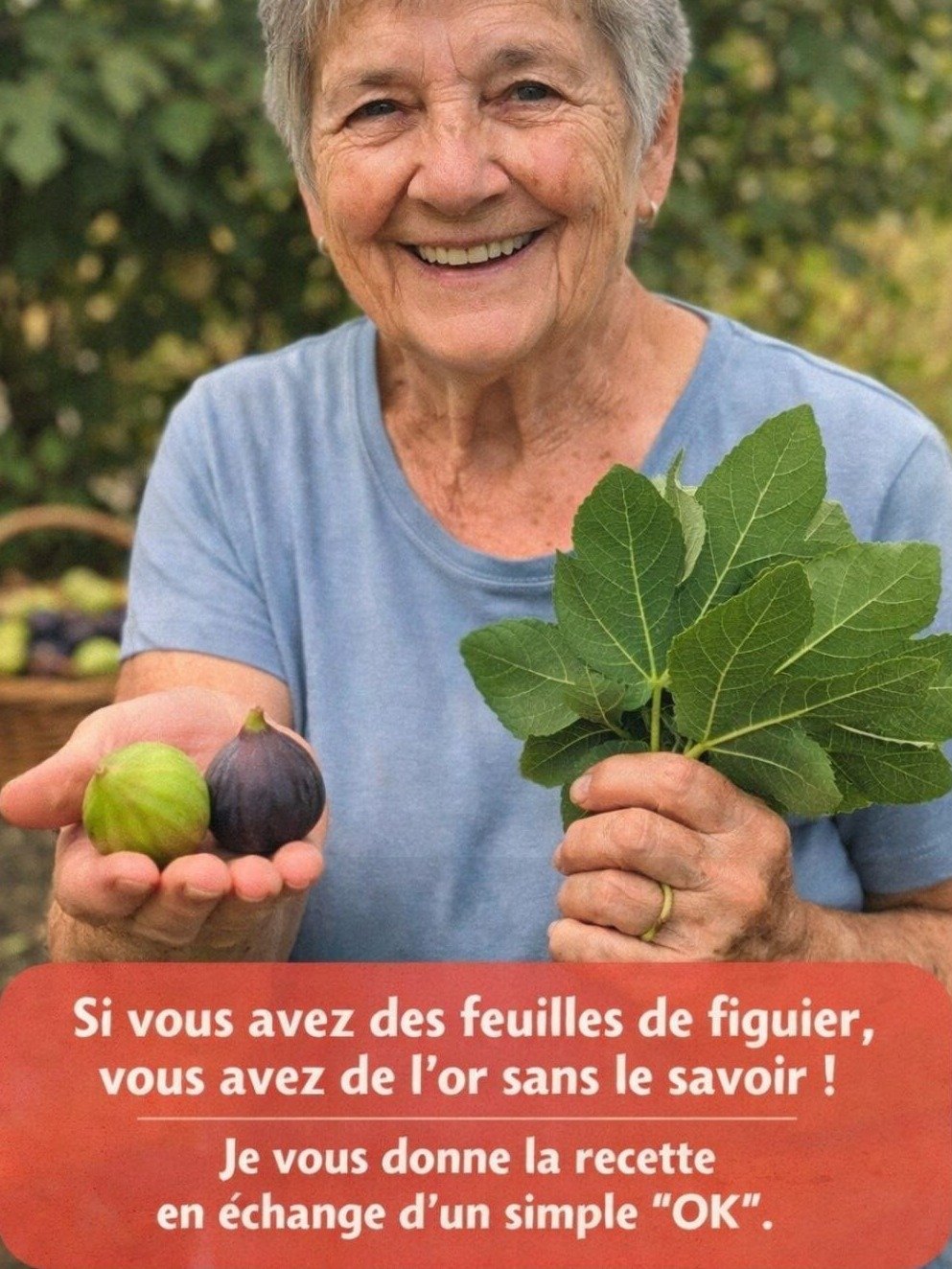 Le Secret Que Personne Ne Vous Dit : 10 Bienfaits Époustouflants Des Feuilles de Figuier Qui Vont Révolutionner Votre Santé !