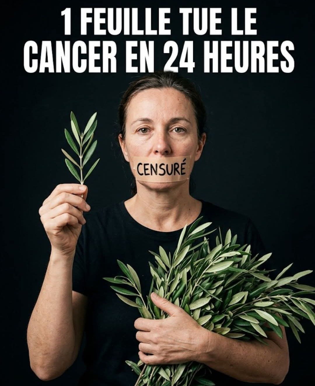 La feuille extraordinaire qui transforme la santé, un trésor encore trop peu connu !
