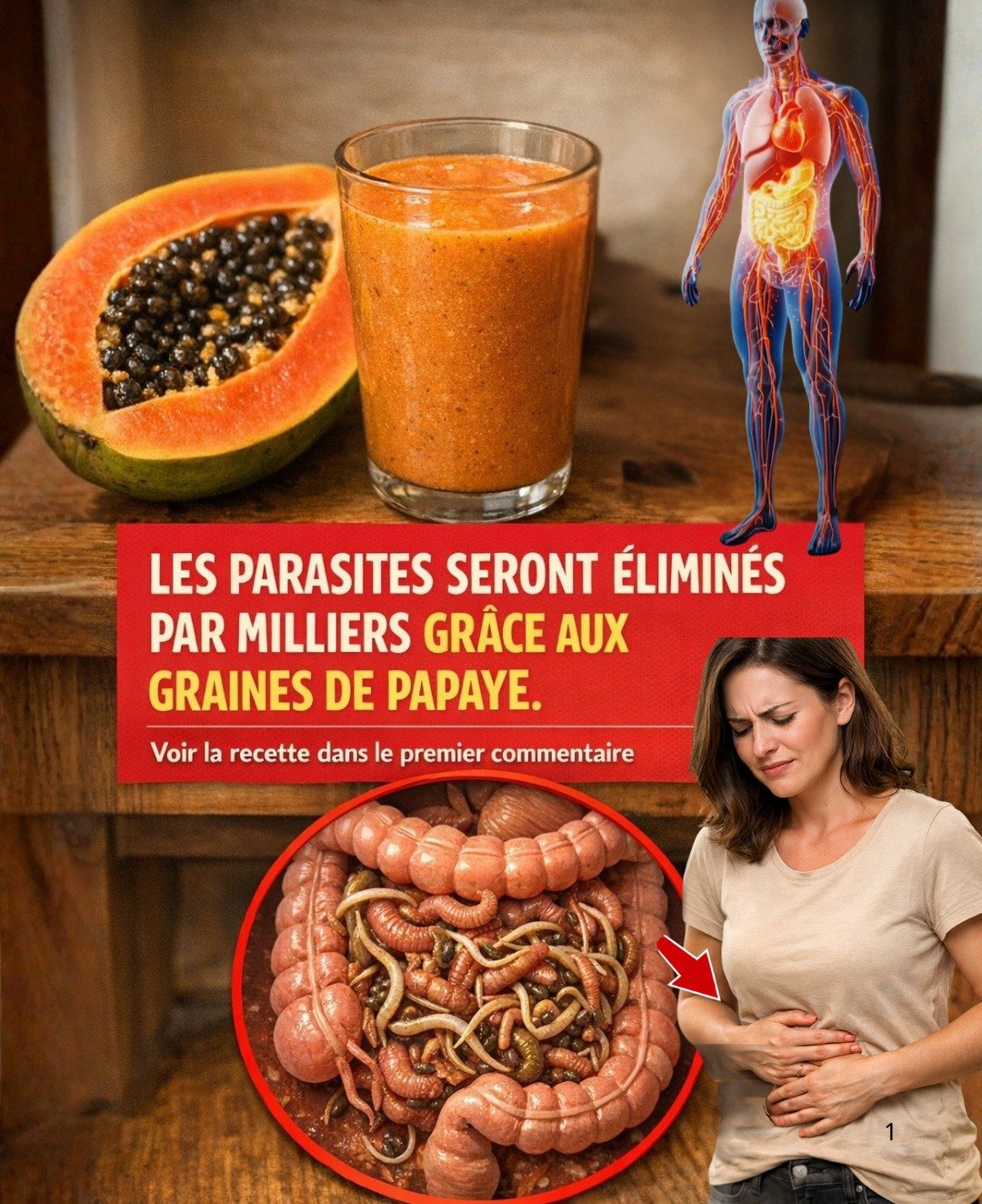 Les graines de papaye : un remède naturel ancestral pour combattre les parasites et soutenir la digestion