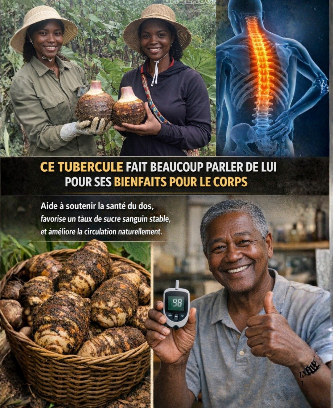 Le Taro : un superaliment ancestral au cœur de la santé et de la durabilité