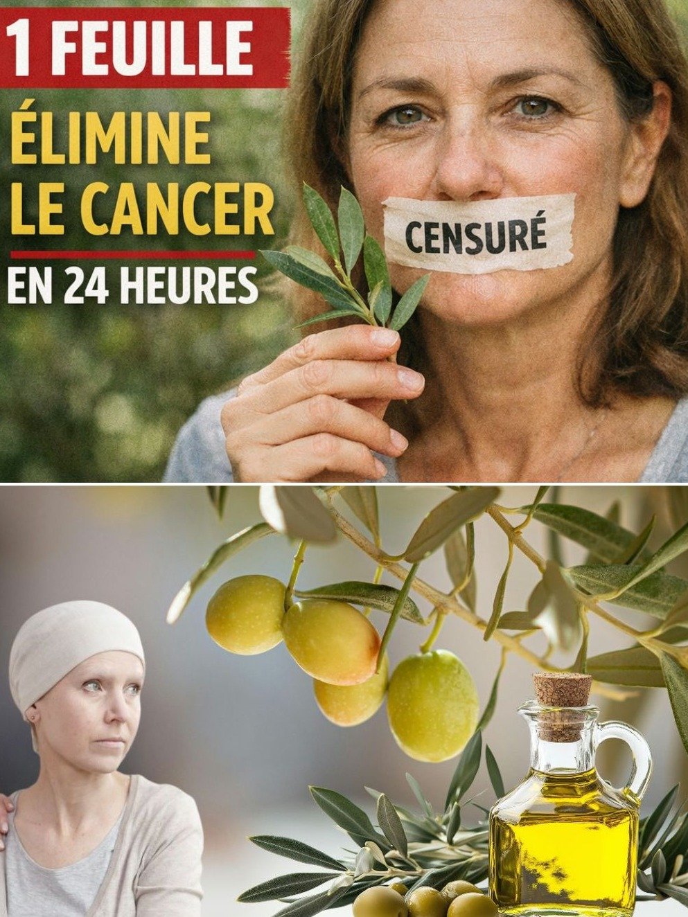 Le Secret Caché : Cette Feuille Incroyable Qui Cible les Cellules Cancéreuses – Pourquoi Personne Ne Vous En Parle Vraiment ?