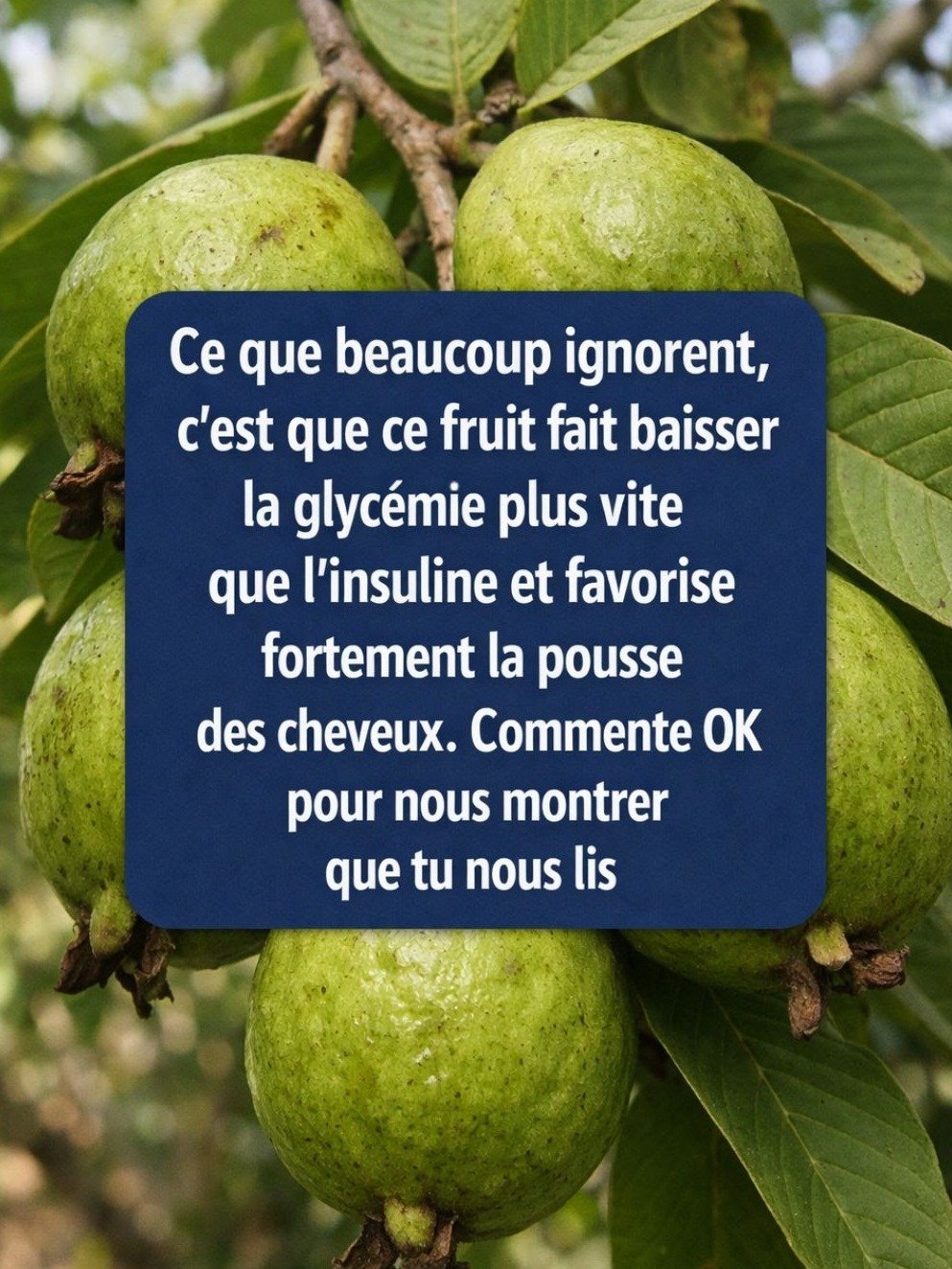 Le Secret Anti-Sucre que Personne Ne Vous Dit : Ce Fruit Tropical Révolutionne Votre Glycémie (5 Bienfaits Étonnants et 4 Recettes Simples)