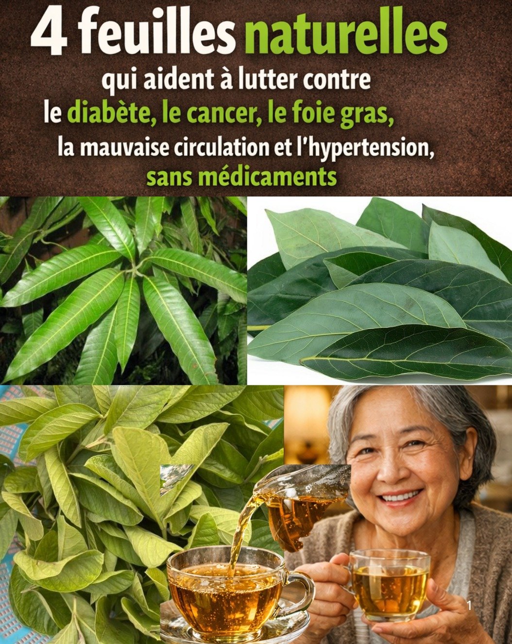 Le Secret Oublié : 4 Feuilles Communes Qui Vont Transformer Votre Santé et Prolonger Votre Vie (La Recette Révélée !)