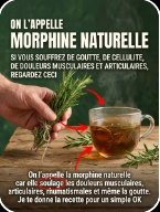 Dites ADIEU aux Douleurs Chroniques ! Le Romarin, Cette 'Morphine Naturelle' Que Votre Corps Réclame (5 Recettes Puissantes à Connaître Absolument)