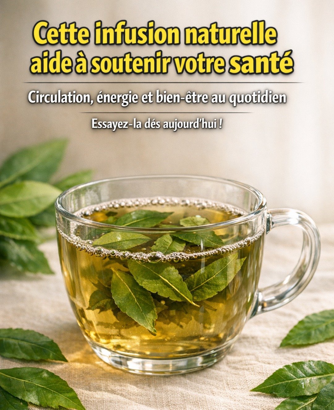 🌿 Le Tonique aux Feuilles Maîtresses : Goyave, Corossol, Mangue et Curcuma pour la Santé Métabolique