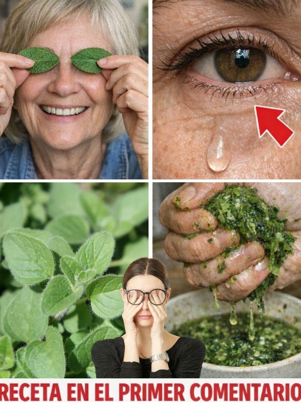 Ne Lisez PAS Ceci Si Vous Tenez à Vos Yeux ! La Plante SECRÈTE Qui Améliore la Vision et Bat la Cataracte Naturellement