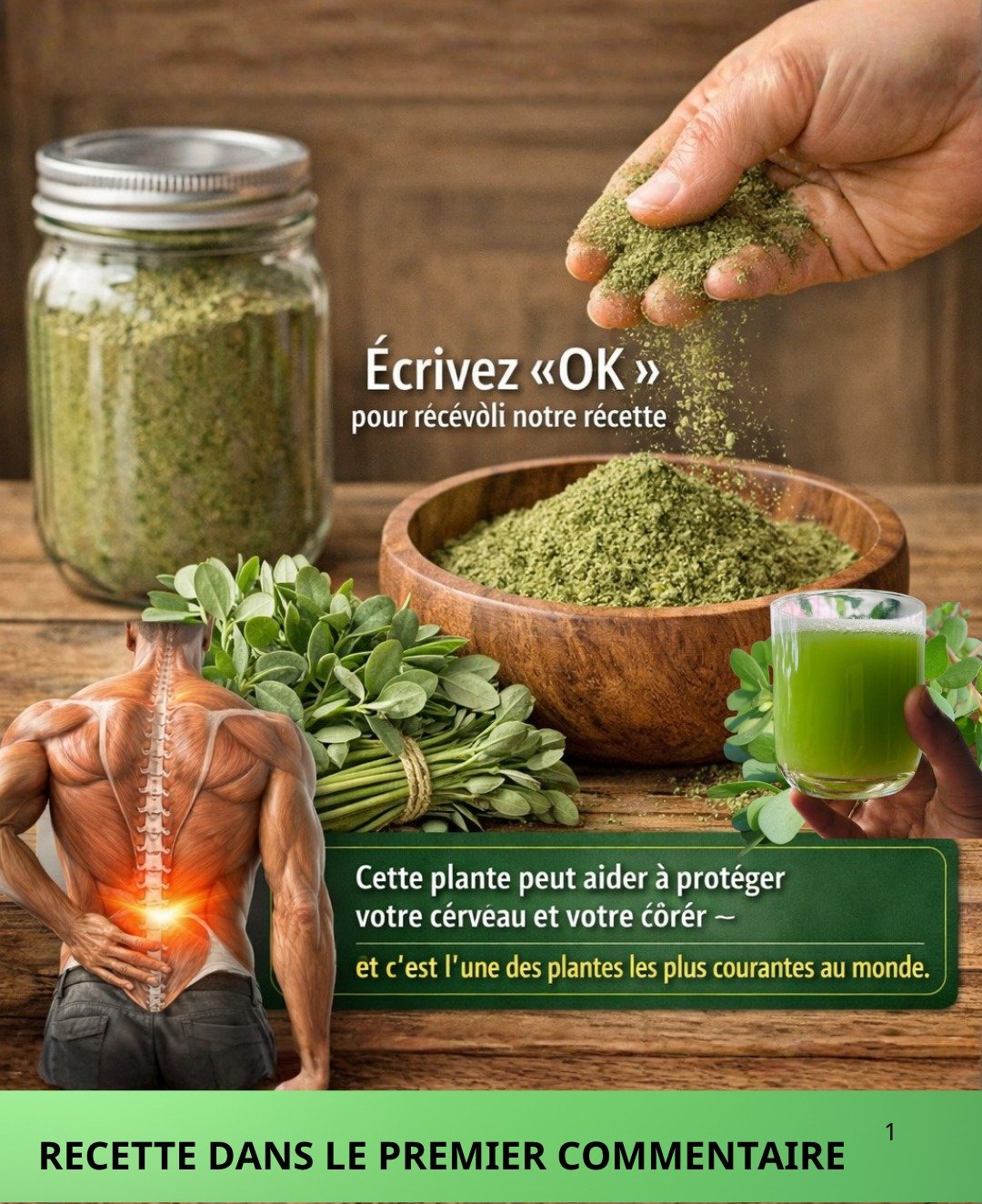 Le Pourpier Sauvage : Découverte de la Plante la Plus Puissante au Monde et Ses Incroyables Bienfaits pour la Santé