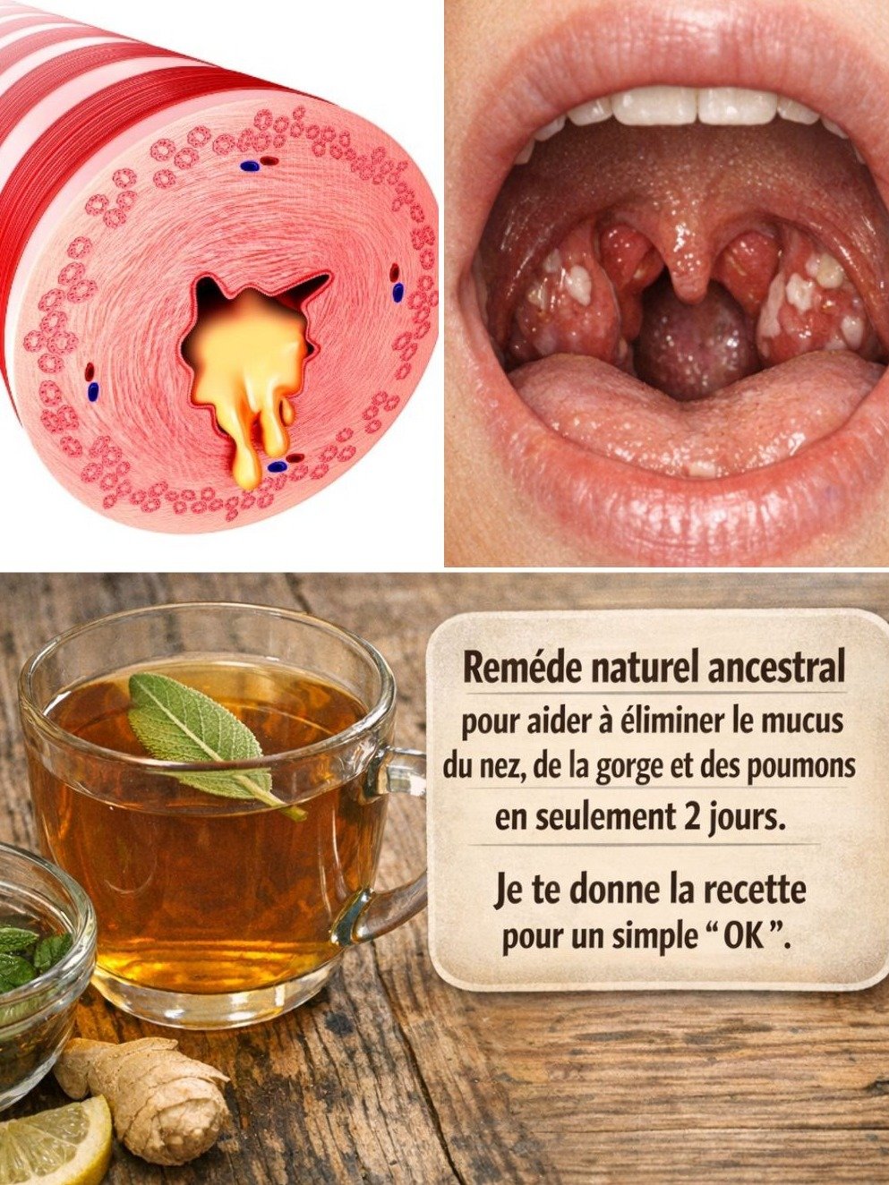 Le Secret Millénaire pour Éliminer TOUT le Mucus : La Sauge Va Révolutionner Vos Poumons, Nez et Gorge en 7 Jours !