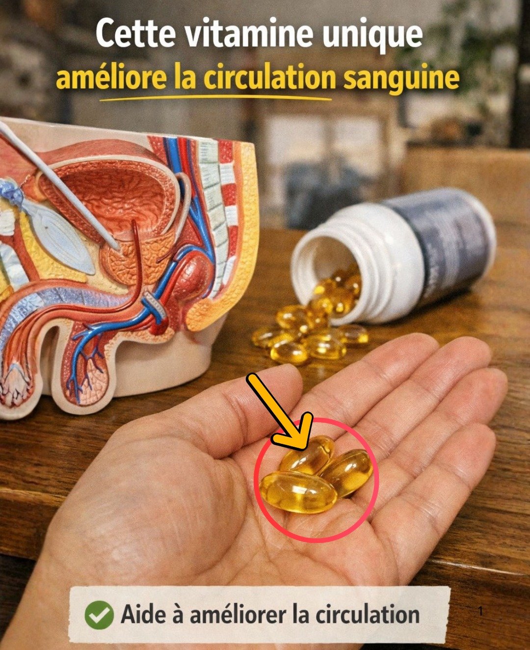 Les 3 vitamines essentielles pour une circulation sanguine optimale et un regain d'énergie