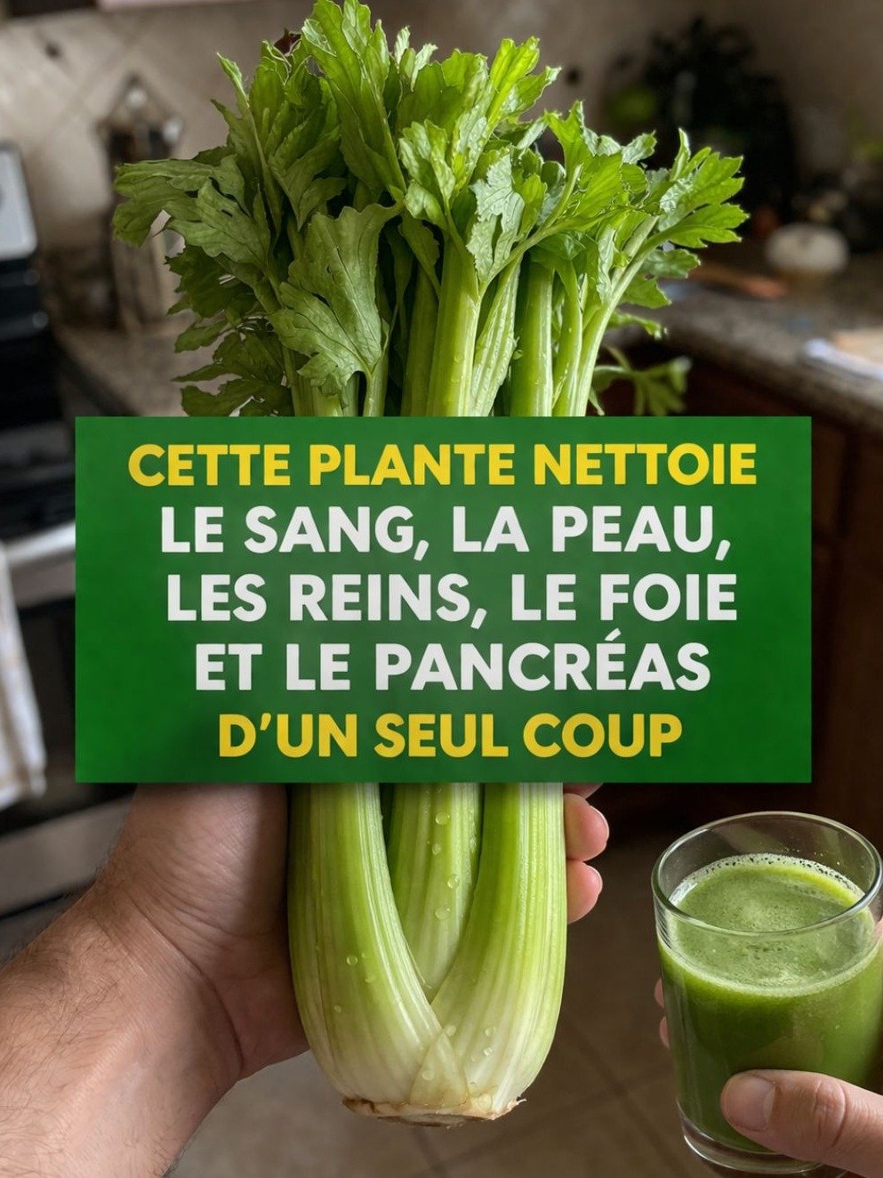 Le Céleri : Ce Que Personne Ne Vous Dit Sur Son Pouvoir Purifiant (Votre Sang, Reins et Foie Vous Remercieront !)