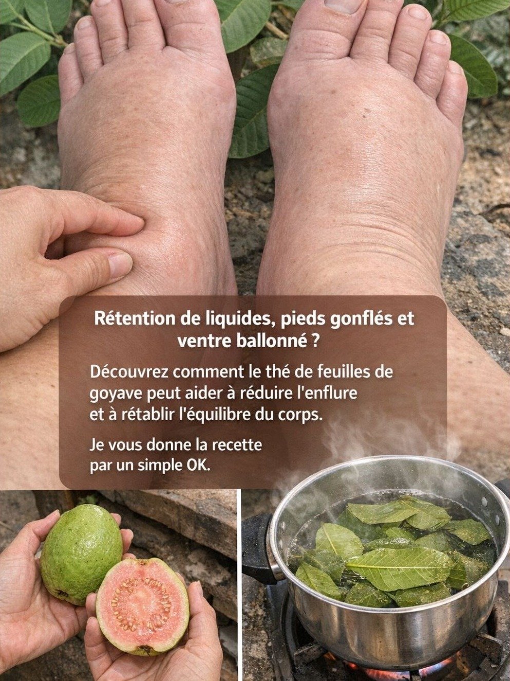 Rétention d'eau : Le Secret Ancestral des Feuilles de Goyave Révélé pour un Corps Léger et Dégonflé (À Découvrir Absolument !)
