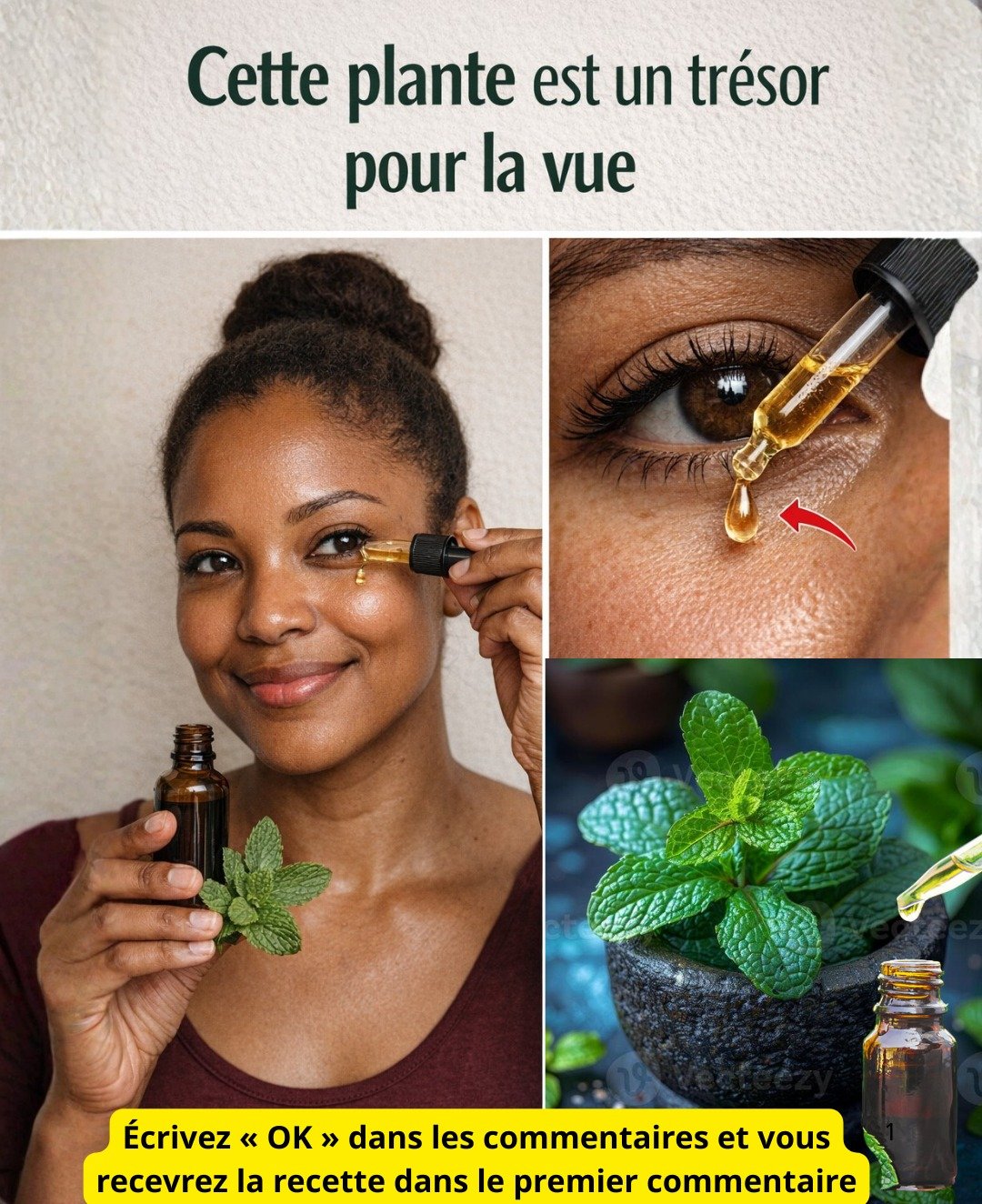 L'origan : Votre Allié Naturel et Simple pour une Vision Quotidienne Optimale