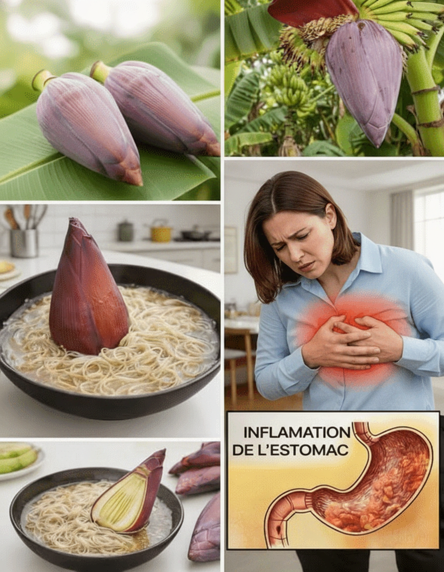 Les Bienfaits Nutritionnels de la Fleur de Bananier et Comment l'Intégrer Facilement à Vos Repas Quotidiens