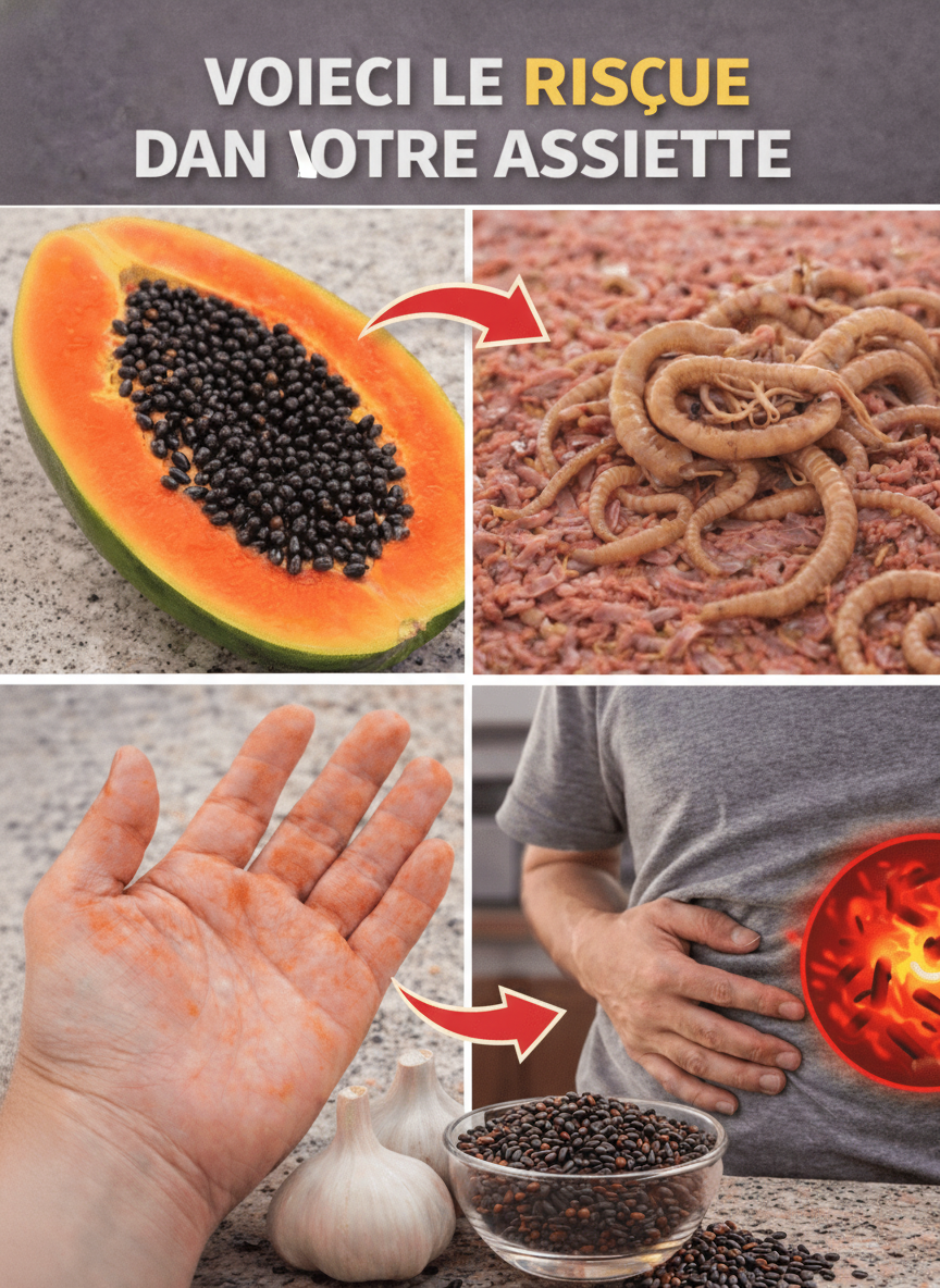 Graines de Papaye : Le Secret Naturel pour un Rajeunissement Profond et une Élimination Efficace des Parasites