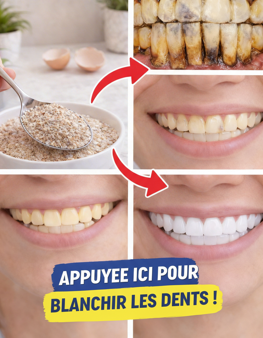 Découvrez Comment les Coquilles d'Œuf Peuvent Doucement Polir Vos Dents pour un Sourire Naturellement Éclatant