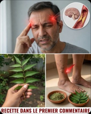 Cette Feuille Amère Millénaire Cache des Secrets de Santé Incroyables : Pourquoi le Neem Va Changer Votre Vie (Et Pourquoi Vous Devez Le Savoir MAINTENANT) !