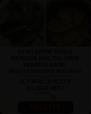 Diabète : 5 Raisons Époustouflantes de Manger de la Goyave TOUS les Jours (Votre Glycémie Ne Sera Plus un Problème !)