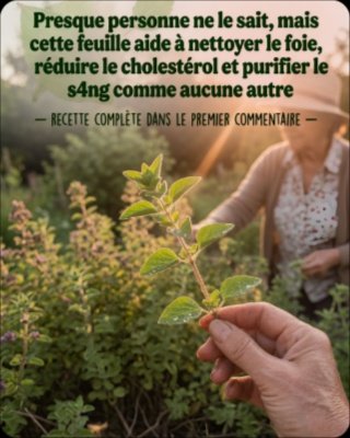 Ne Manquez Pas Ça : La Recette Secrète au Boldo Pour Purifier Votre Corps en Profondeur (Les Résultats Vont Vous Bluffer !)