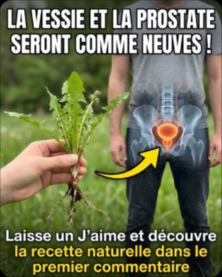 Séniors : Dites adieu aux réveils nocturnes ! Ce remède maison ancestral nettoie votre vessie et revitalise votre prostate en 14 jours (La méthode simple révélée !)