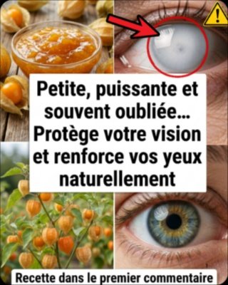 Le Fruit Doré Qui Va VOUS Rendre une Vision de Faucon (Le Secret que Personne Ne Vous Dit !)