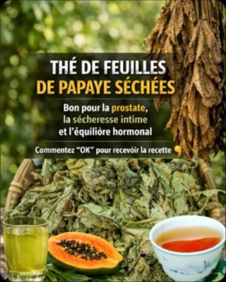 Le Secret Millénaire pour un Bien-Être Rajeuni : Une Tasse de Thé de Feuilles de Papaye Chaque Jour Peut-elle TOUT Changer ?