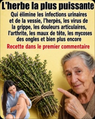 L'Incroyable Pouvoir du Thym: 7 Utilisations Médicinales Qui Vont Révolutionner Votre Bien-être!