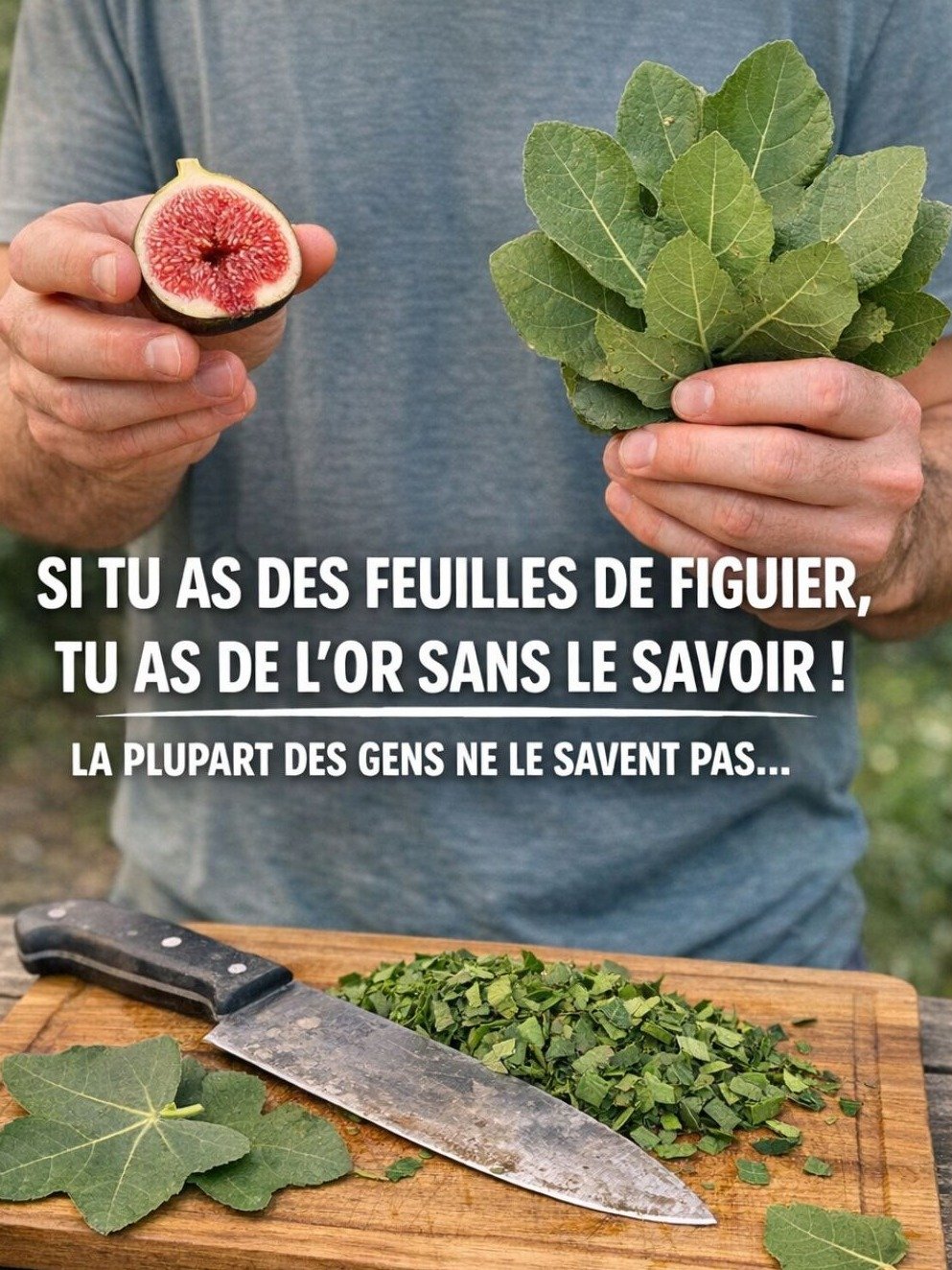 Ne Jetez PLUS Jamais Vos Feuilles de Figuier ! Découvrez Les 7 Secrets Que Personne Ne Vous Dit Pour Transformer Votre Santé (et Votre Quotidien)