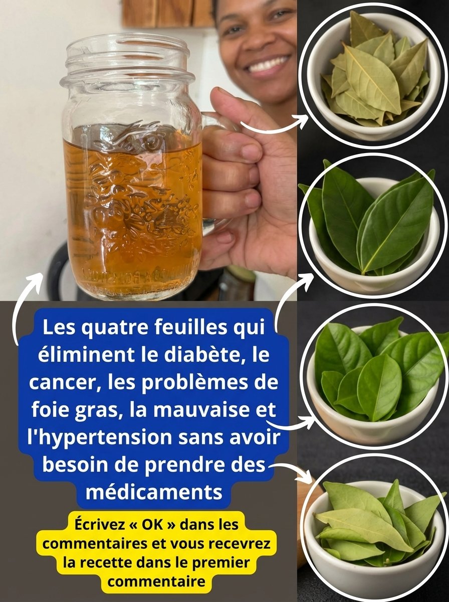 Le Secret Oublié : 4 Feuilles Simples Qui Vont Révolutionner Votre Bien-Être (Et Personne Ne Vous L'a Dit Avant !)