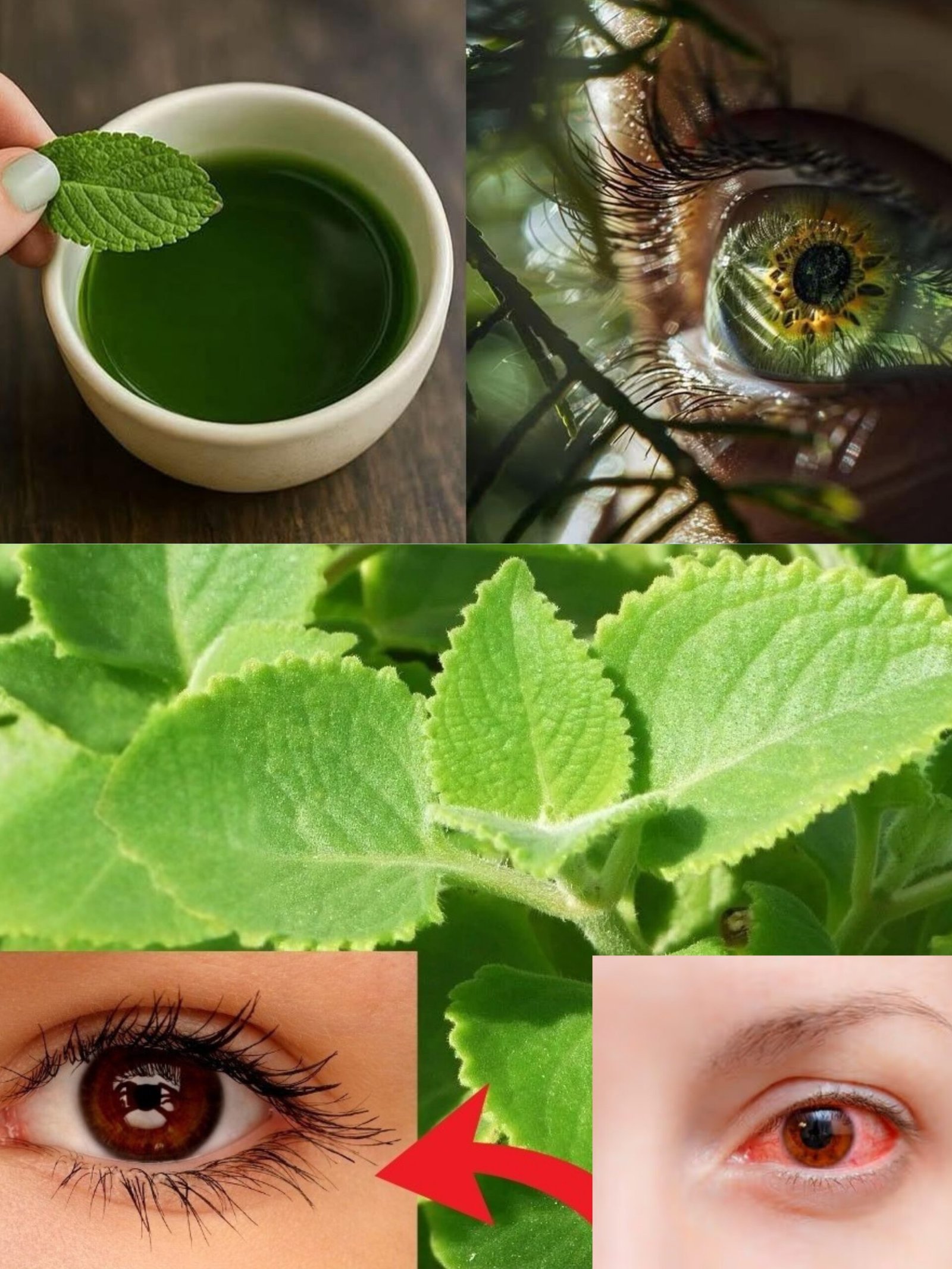 VOUS NE LE CROIREZ PAS : Ce Secret Naturel Peu Connu Peut Rendre Votre Vision Claire Comme le Cristal et Combattre les Cataractes ! (À Découvrir Absolument)