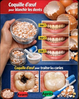 😱 Ne Jetez PLUS vos Coquilles d'Œuf ! Le Secret CHOC pour des Dents BLANCHES comme des Perles en 5 Minutes (Vraiment !)