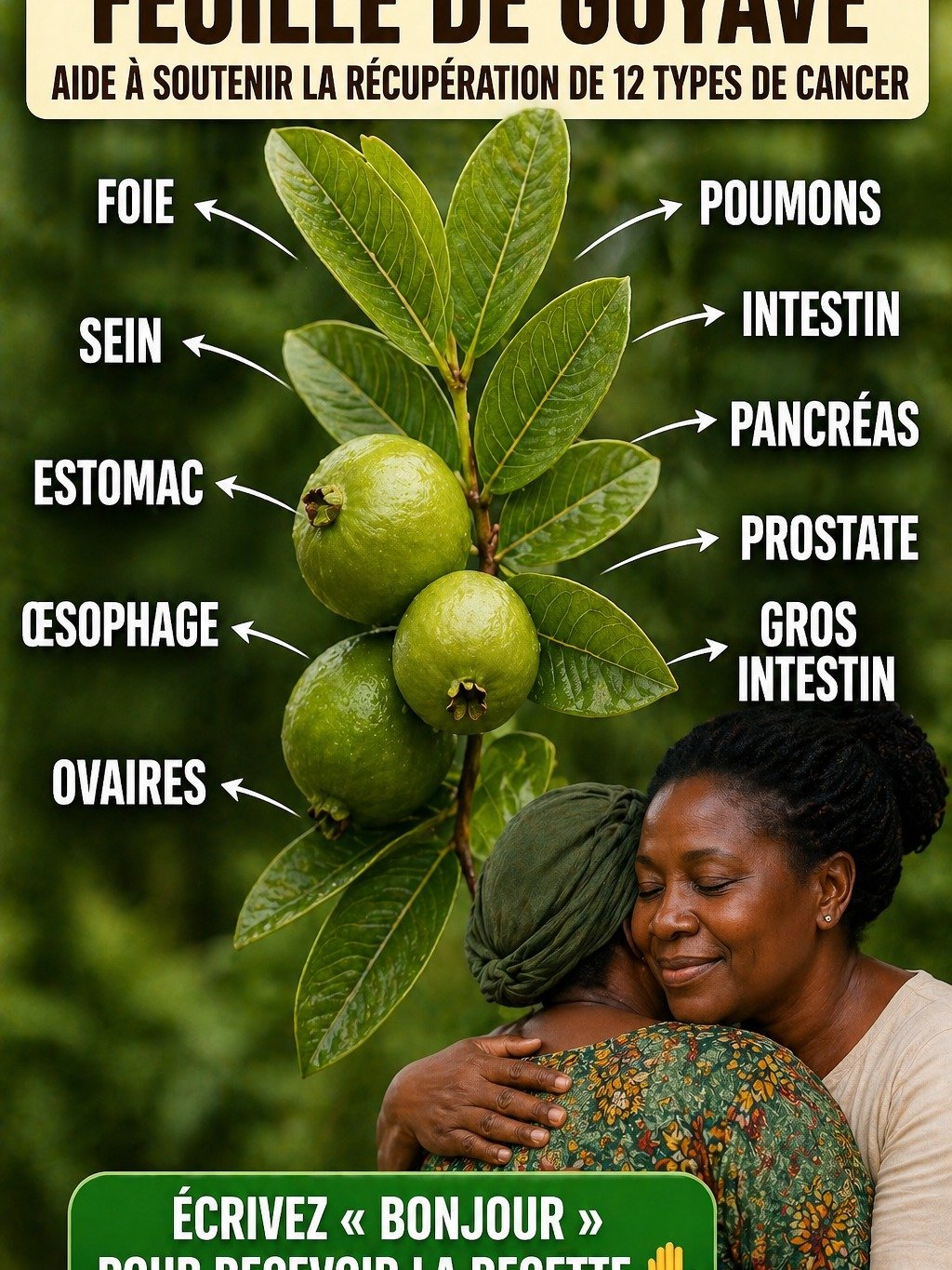 Ne Jetez PLUS les Feuilles de Goyave ! 5 Pouvoirs Insoupçonnés Qui Vont Booster Votre Bien-être Quotidien