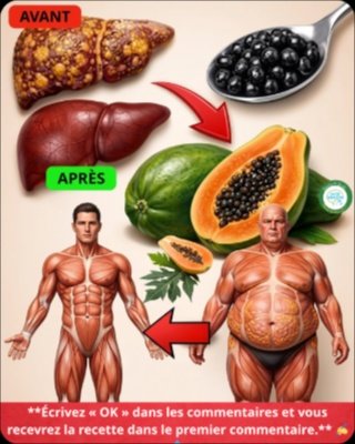 Le secret que vous jetez à la poubelle : comment les graines de papaye peuvent transformer votre foie et faire fondre la graisse abdominale en 7 jours !