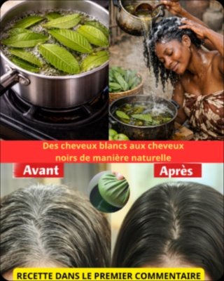 Le Secret Choc pour Dire Adieu aux Cheveux Blancs : 3 Recettes Naturelles Révélées (Sans Teinture Chimique !)
