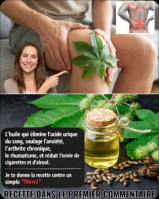 Révélation Choc : 25 Bienfaits Insoupçonnés de l'Huile de Ricin Que Vous Devez ABSOLUMENT Connaître Pour Transformer Votre Peau, Vos Cheveux et Vos Articulations !