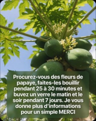 Le Secret Insoupçonné : 20 Bienfaits ÉPOUSTOUFLANTS de la Fleur de Papaye que Vous Devez Connaître ABSOLUMENT !