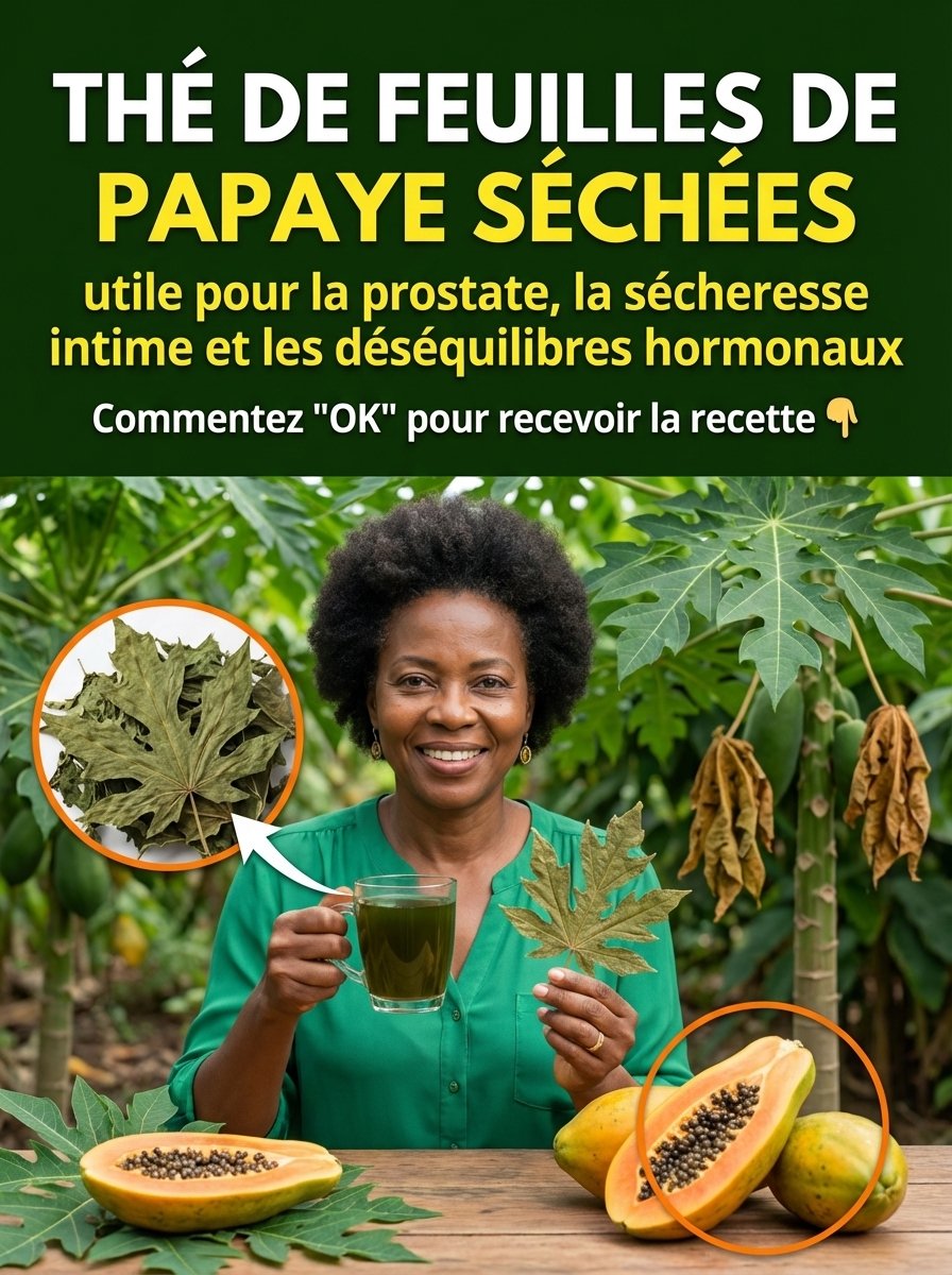 Le Secret Oublié des Feuilles de Papaye : 5 Bienfaits Étonnants Que Personne Ne Vous Dit (et Comment en Profiter !)