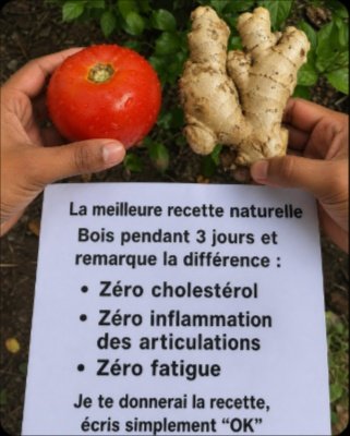 Le Secret Bien Gardé : Cette Boisson "Zéro Cholestérol, Zéro Inflammation" Va Révolutionner Votre Santé en 10 Jours ! (Recette Complète)