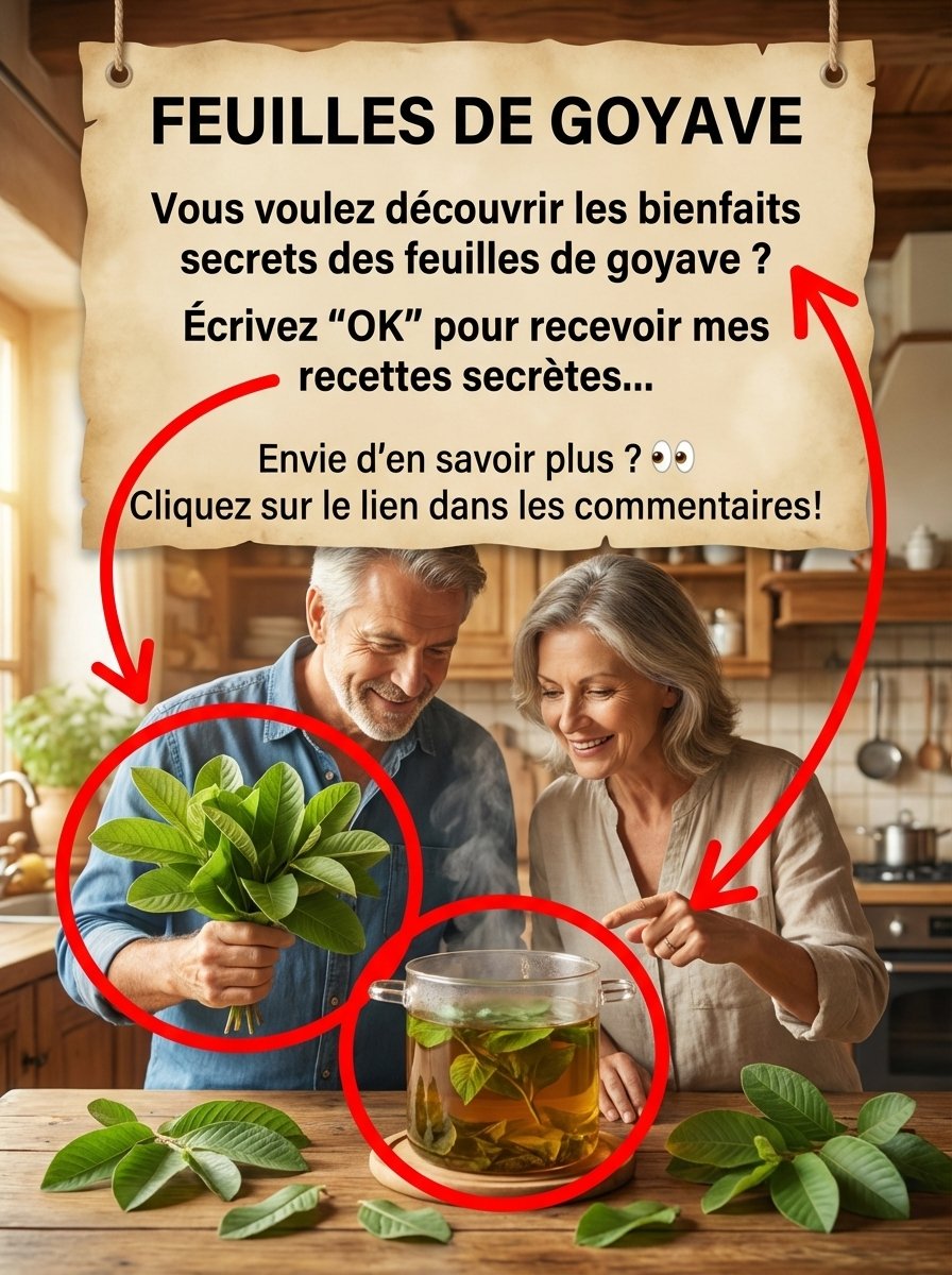 Le Secret Oublié des Feuilles de Goyave : 5 Bienfaits Incroyables Que Votre Corps Réclame !