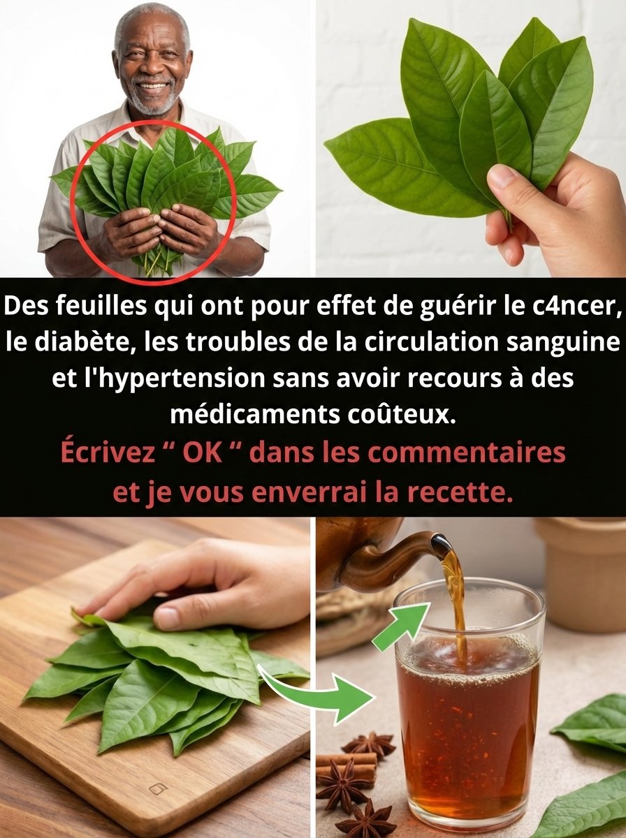 Le Secret Millénaire Vietnamien pour des Nuits Parfaites : Cette Feuille de Jardin Va Révolutionner Votre Sommeil !