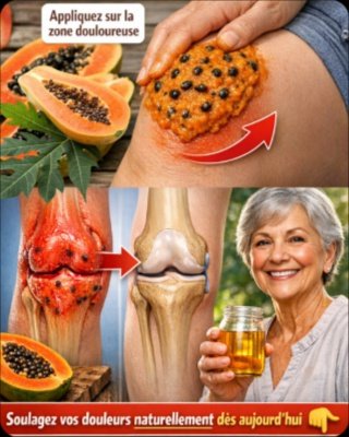 Révélation Choc : Pourquoi Personne ne Vous a Parlé de Cette Pâte de Papaye Verte pour Soulager Vos Douleurs Articulaires Instantanément ?