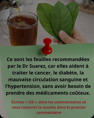 Le Secret Oublié des 3 Feuilles et du Curcuma : Éliminez la Lourdeur Matinale et Retrouvez une Énergie Incroyable Après 45 Ans !