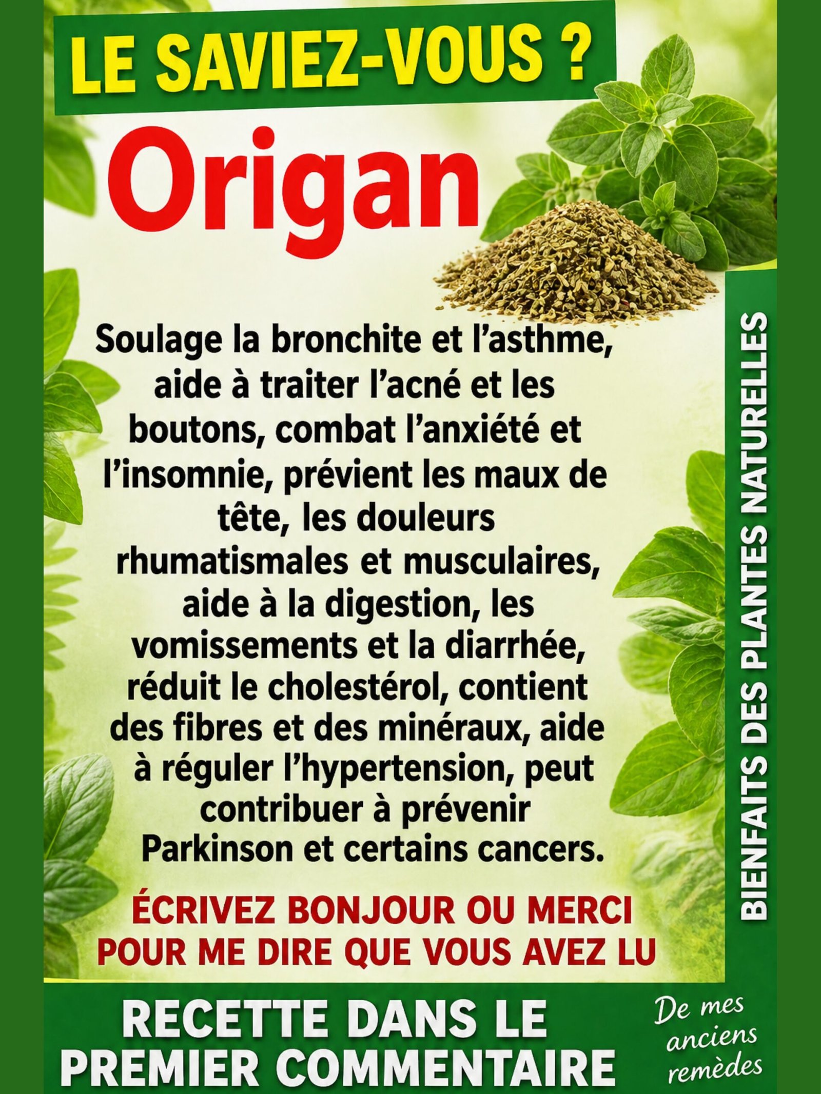 Ne la Jetez PLUS JAMAIS ! Si cette plante pousse chez vous, vous détenez un TRÉSOR insoupçonné qui va changer votre vie.