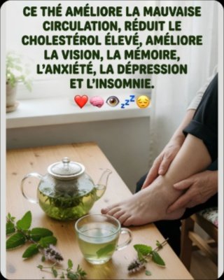 🤯 Un Seul Thé Pour Tout Changer ? Circulation, Cholestérol, Mémoire, Vue & Sommeil : Le Basilic Révèle Ses Pouvoirs Cachés !