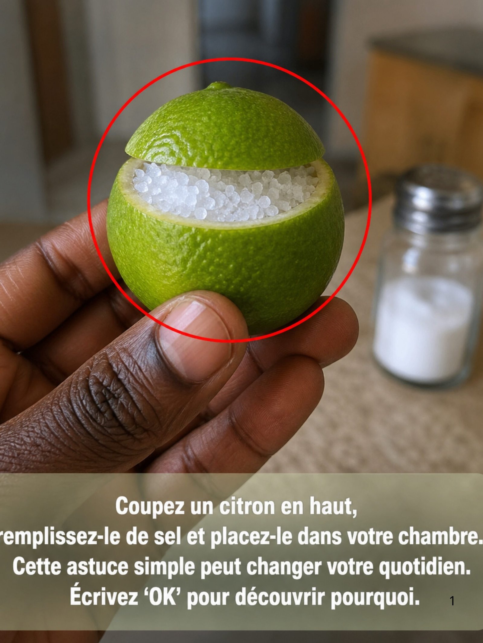 Le Secret Viral pour un Air Pur : Pourquoi Vous DEVEZ Placer un Citron avec du Sel dans Votre Chambre DÈS CE SOIR !