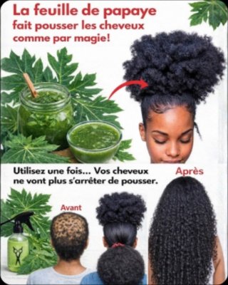 Le Secret Oublié Pour Des Cheveux Époustouflants : Pourquoi Vous Devez Absolument Essayer Les Feuilles de Papaye MAINTENANT !